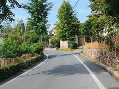 -莫干山风景区