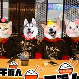 淦饭人 淦饭魂 淦饭人都是人上人🍣