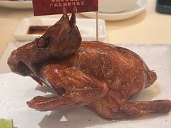 -侨美食家·粤菜(体育西路店)
