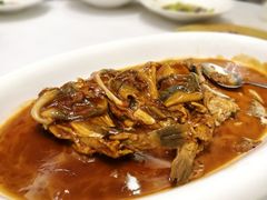 河豚-品粹徽园·家常安徽菜
