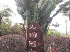 -中山市树木园