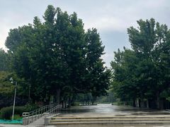 -望湖公园