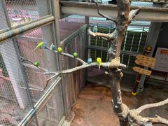 -正佳雨林生态植物园