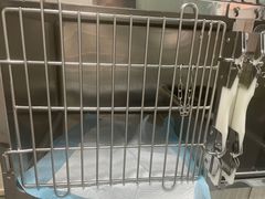 -半岛宠物医院24小时(科华中路店)