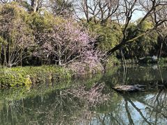 -西湖游船