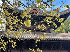-钱王祠