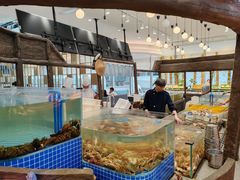 -半岛听涛蒸汽海鲜自助(K11店)