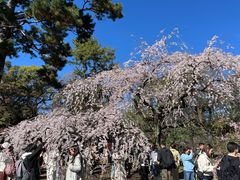 -京都御所