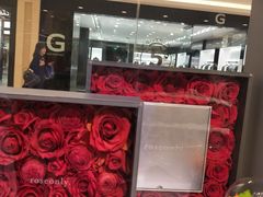 -ROSEONLY诺誓(国际广场购物中心店)