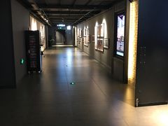 -新影联·华谊兄弟影院(望京店)