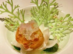 -叶叶菩提(太原别墅店)