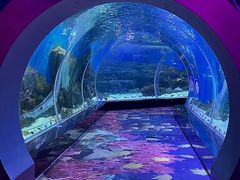 -顺德南宏海立方海洋公园