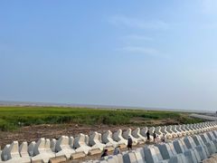 -南汇嘴观海公园