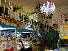 -Jo's Garden
