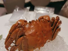 -蟹榭·本帮江浙菜·蟹宴(五角场合生汇商场店)