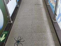 -中国第四纪冰川遗迹陈列馆