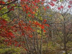 -本溪老边沟风景区