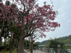 -碧水湾温泉