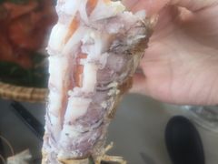 -越海渔村
