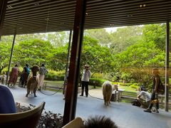 -南宁荔园维景国际酒店·荔园中餐厅