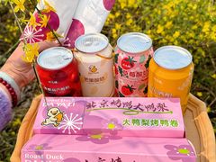 -大鸭梨烤鸭(望京店)