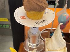 -野人先生Gelato(上海长宁龙之梦店)