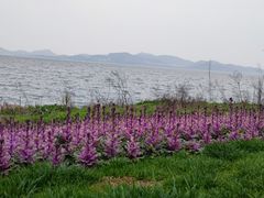 -东钱湖旅游度假区