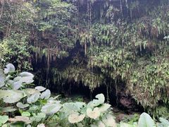 -海口火山口国家地质公园