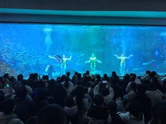 -海合安成都极地海洋公园