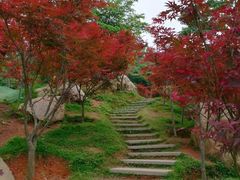 -广州市帽峰山景区