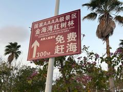 -北海金海湾红树林生态旅游区