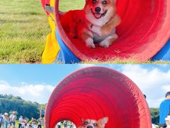 -南京外国语学校(仙林分校西区)