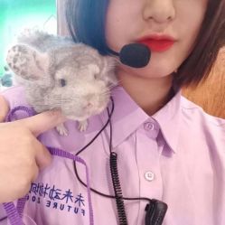 -未来动物城主题公园(正弘城店)
