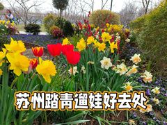 -苏州上方山国家森林公园