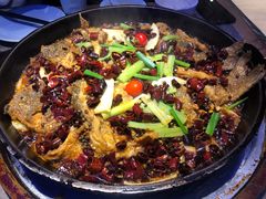 -老板恋上鱼(恒隆广场店)