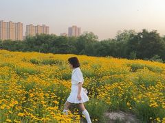 -汉长安城未央宫国家考古遗址公园