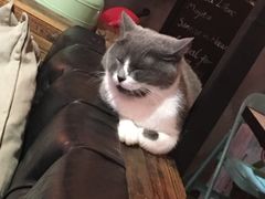 -MIKAKU(万达广场上海宝山店)