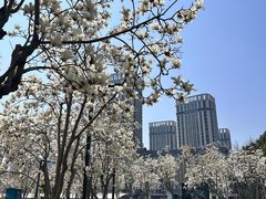 -南京眼步行桥