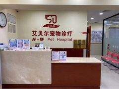 -艾贝尔宠物诊疗