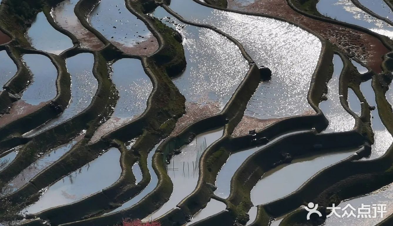 元阳梯田美如画