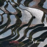 元阳梯田美如画