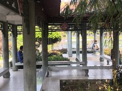 -深圳龙潭公园