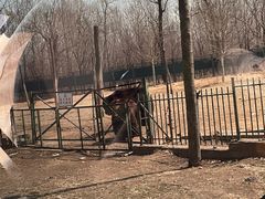 -秦皇岛野生动物园