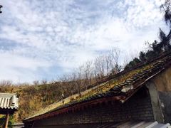 -终南山国家森林公园