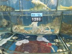 水产区-渔中舟海鲜大排档(普陀沈家门店)
