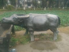 android_upload_pic-朱家角课植园