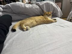 -泊寓(真如上海西站旗舰店)