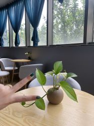 -酉嘉瑜伽YO+YOGA