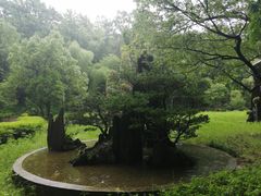 -瑶琳仙境