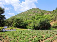 -云峰山自然风景区